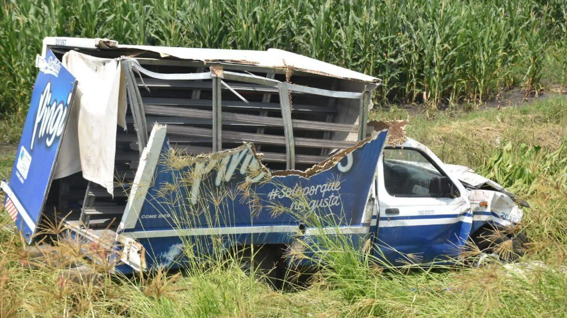 Vuelca camioneta repartidora en carretera de Irapuato (2)